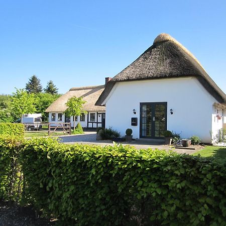 Tasinge B&B Svendborg Zewnętrze zdjęcie